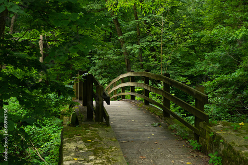Bridge in the park photo
