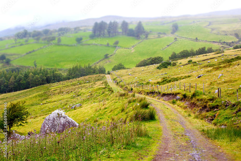 Small winding road in the Irish countryside 