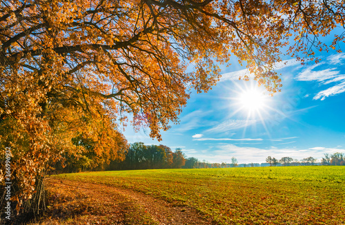 Autumn landscape nature on a beautiful sunny day