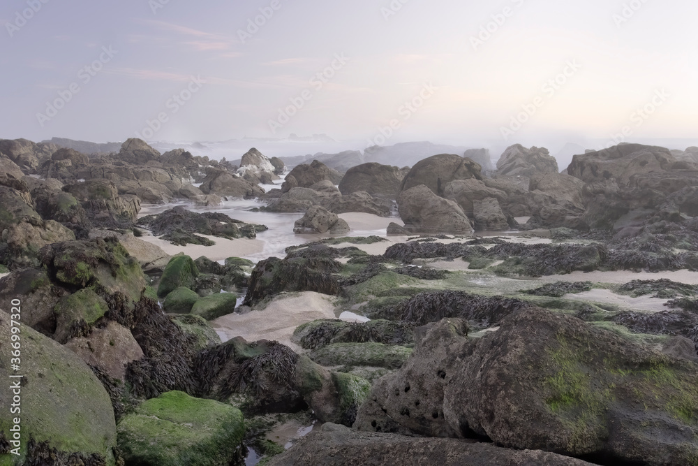 Rocky beach during low tide
