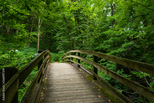 Bridge in the park photo