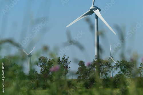Windräder leicht verdeckt durch unscharfe Gräser im Vordergrund - Stockfoto © Westwind