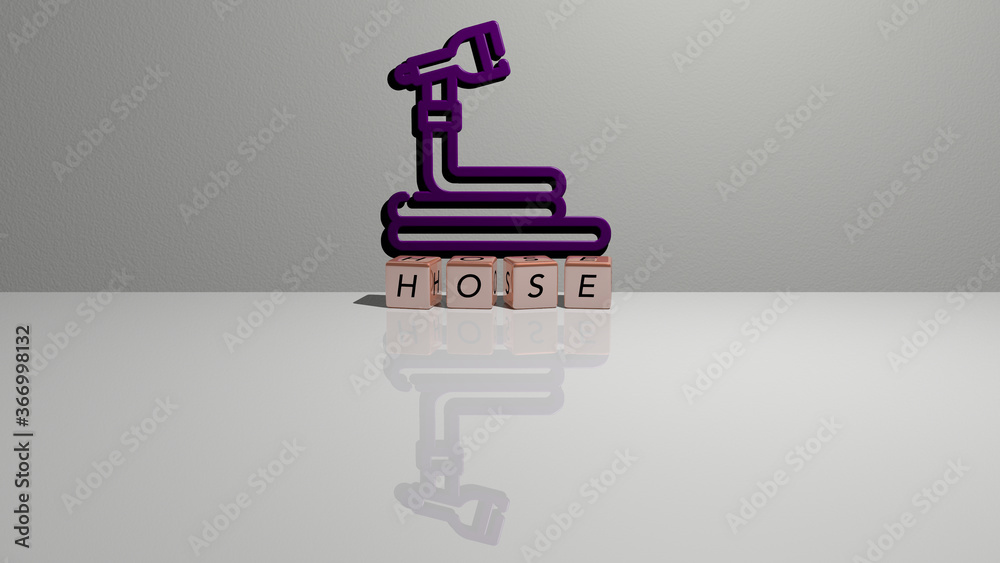 3D illustration of HOSE graphics and text made by metallic dice letters