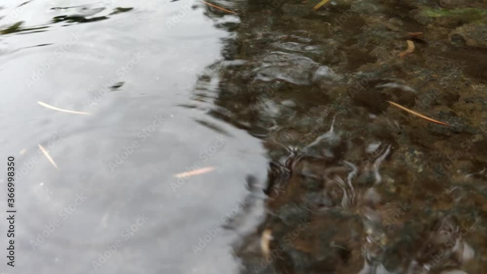 Rain falling on pavement
Rain water drop falling to the floor. The rain water splashes into the ground in heavy rain day. Rain falling on pavement
Rain water drop falling to the floor. The rain water splashes into the ground in heavy rain day.