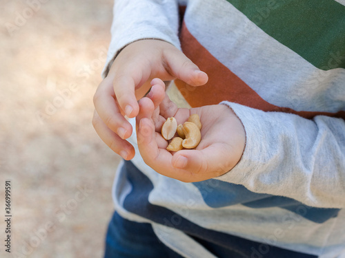 Child with nuts in hands, snack