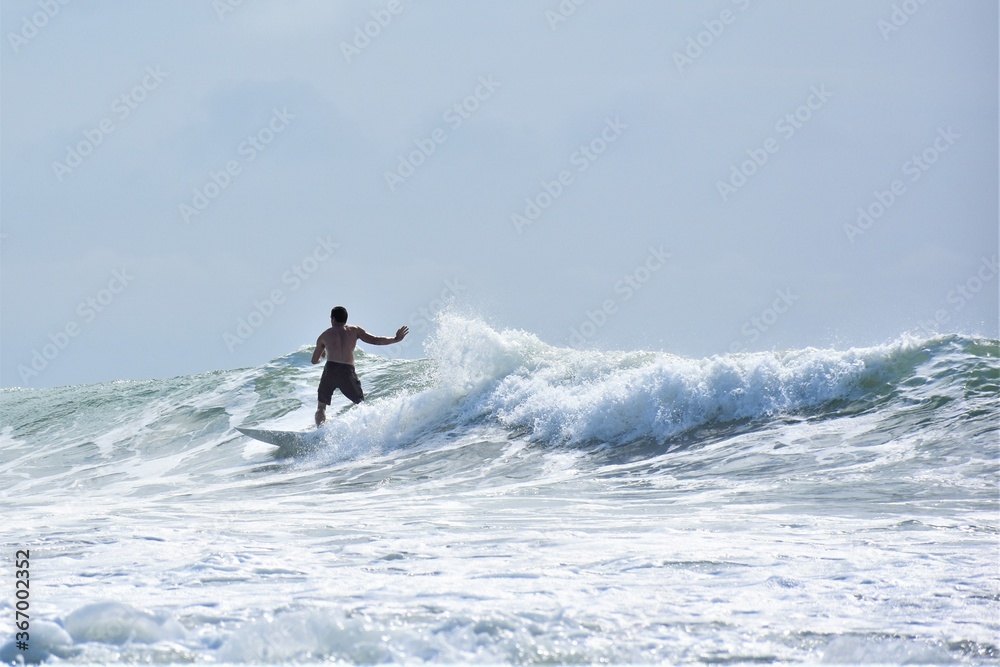 Surfer Surfing Small Wave