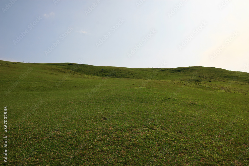 Sunny view of the beautiful grassland of Taoyuan Valley Sunny view of the beautiful grassland of Taoyuan Valley