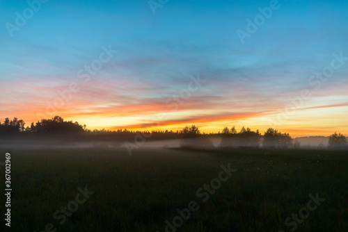 Beautiful scenery of foggy grass field in the break of dawn © Ranta Images