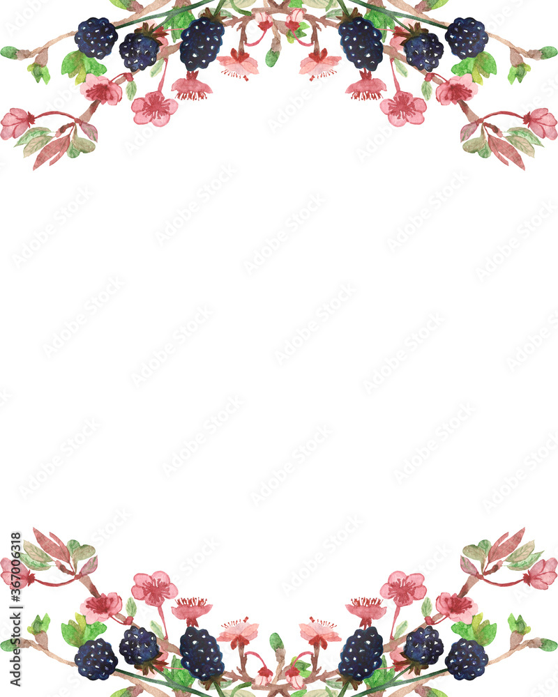 Watercolor hand painted nature floral berry garden banner frame with blackberry, pink apple blossom flowers and green leaves on branch bouquet on the white background for invitation and greeting card