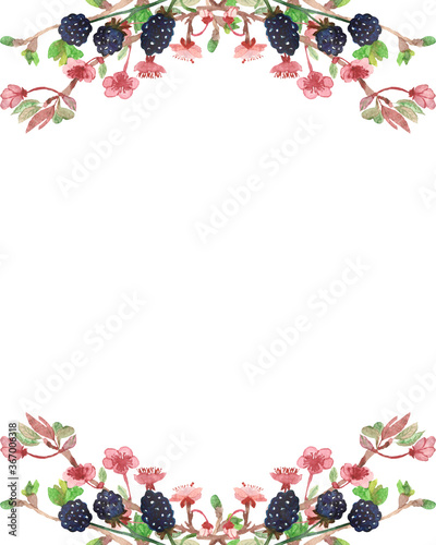 Watercolor hand painted nature floral berry garden banner frame with blackberry, pink apple blossom flowers and green leaves on branch bouquet on the white background for invitation and greeting card © Natalia