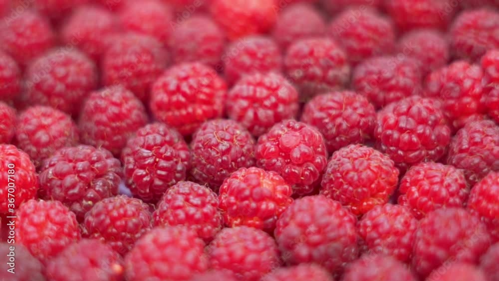 Ripe Raspberries. Crop, Rotation, Close-up of Raspberries. The Concept Of Healthy Food. Ripe Raspberries. Crop, Rotation, Close-up of Raspberries. The Concept Of Healthy Food.
