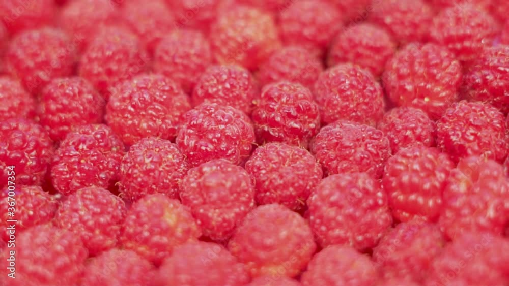 Fresh Ripe Healthy Raspberries Spin on a Platter Close-up of Berries. The Concept Of Healthy Food. Fresh Ripe Healthy Raspberries Spin on a Platter Close-up of Berries. The Concept Of Healthy Food.