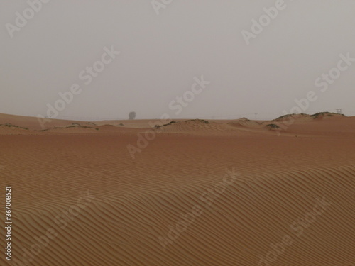 Desert after a sandstorm. Travel by car through the desert in the United Arab Emirates. 