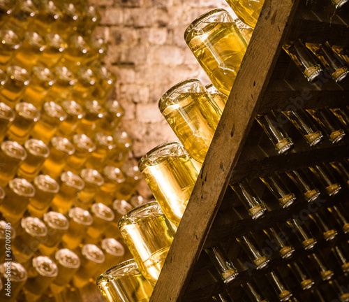 sparkling wine bottles stored during maturing and fermentation in a cellar photo