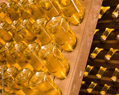 sparkling wine bottles stored during maturing and fermentation in a cellar photo