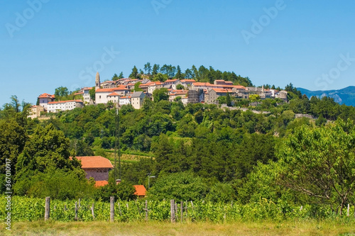 The old historic hill village of Stanjel in the Komen municipality of Primorska, south west Slovenia. The distinctive lemon shaped tower of the church of St Daniel can be seen
 photo