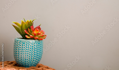flower in vase