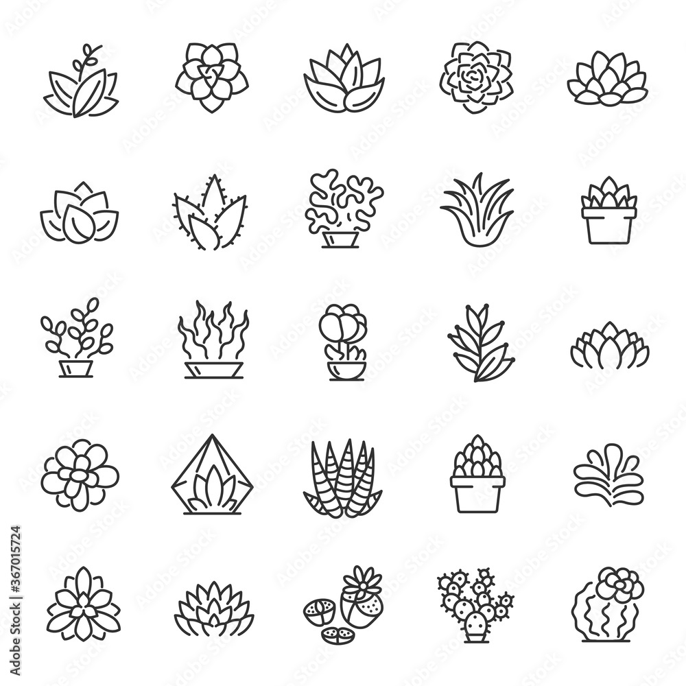 Succulents of various shapes, icon set. Potted plants, linear icons. Line with editable stroke