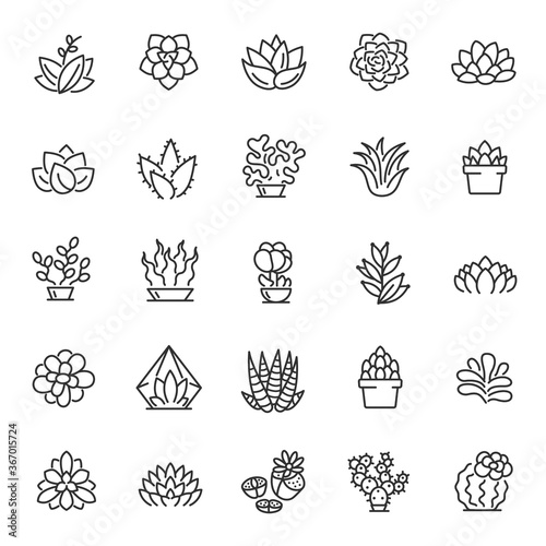 Succulents of various shapes, icon set. Potted plants, linear icons. Line with editable stroke