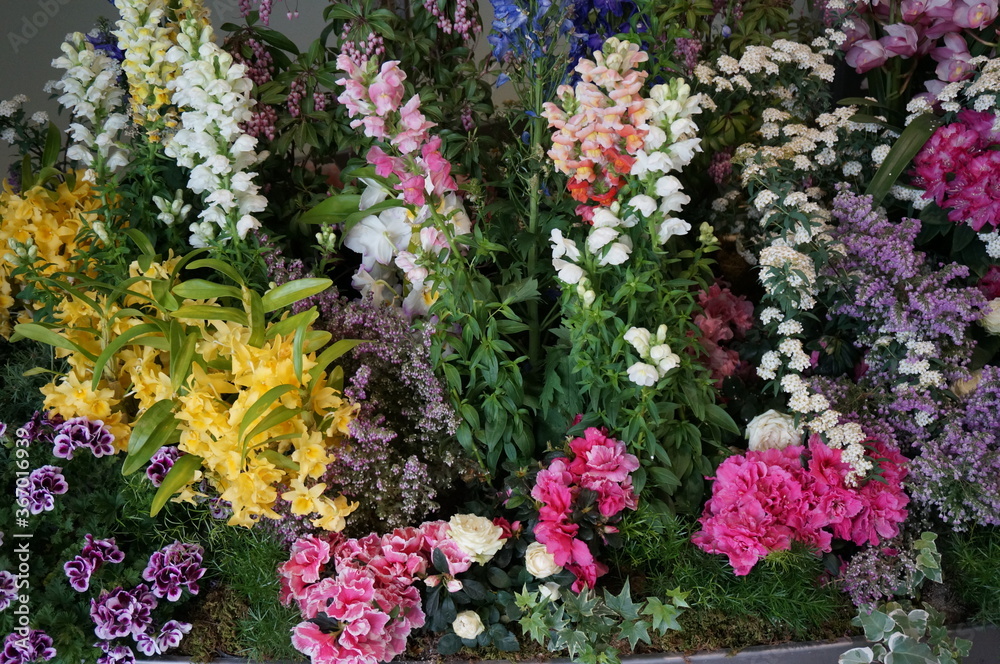 custom made wallpaper toronto digitalflowers