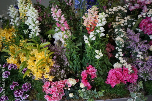 Wallpaper Mural flowers Torontodigital.ca