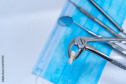 Dental tweezers with false tooth. Real dentist metal instruments.