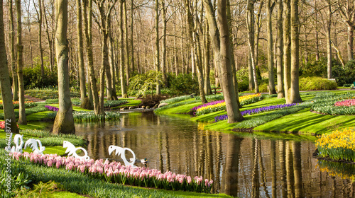 A botanical garden near Lisse, Netherlands photo