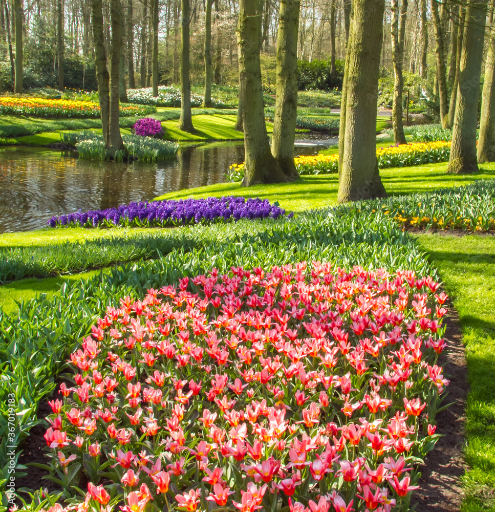 A botanical garden near Lisse, Netherlands