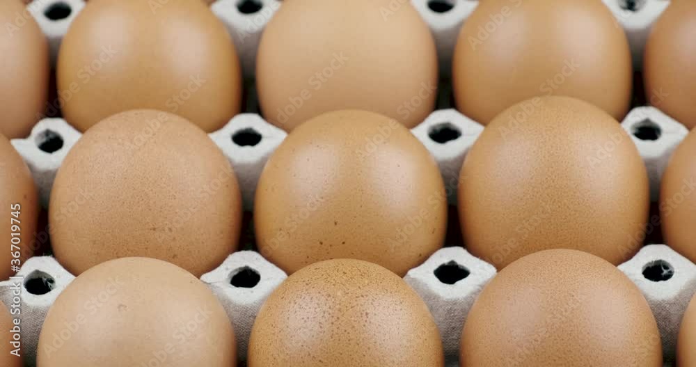 Dolly in shot close up of raw chicken egg pattern on the egg panel Dolly in shot close up of raw chicken egg pattern on the egg panel