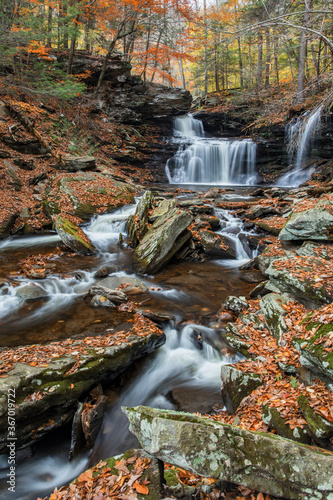 Fototapeta Naklejka Na Ścianę i Meble -  waterfall in the forest