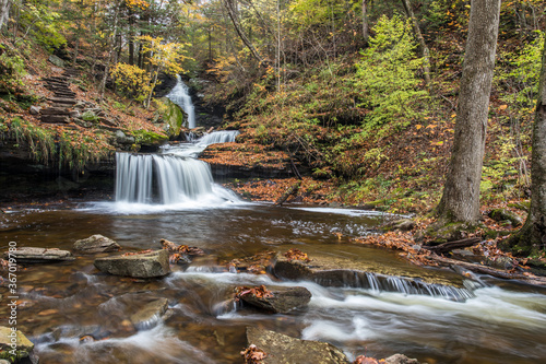 waterfall in the forest