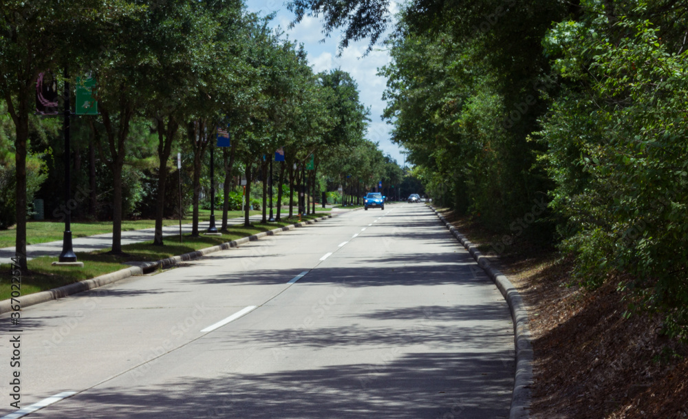 A tree lined roadway facing oncoming traffic in the Woodlands, TX.