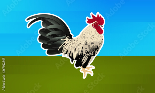 Ilustración Gallo