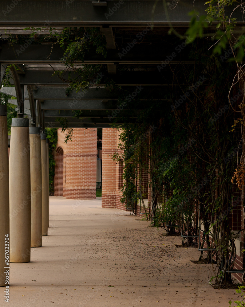 covered walkway with columns on one side and ivy covered brick wall on the other side.  this is located at a public park in the Woodlands, TX.