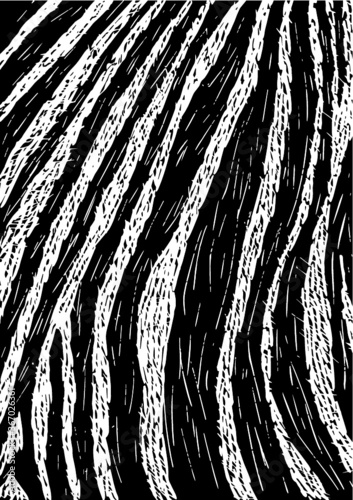 Zebra Illustration Linocut Black and White 