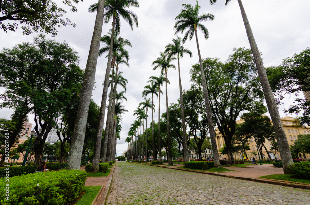 palm trees in the garden - palmeiras e jardim da praça da Liberdade em Belo Horizonte