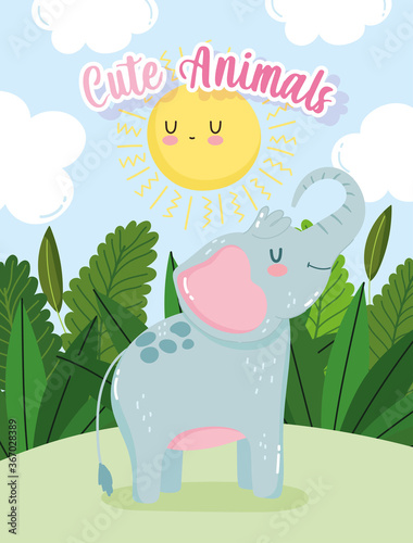 cute elephant animal sun sky grass nature wild cartoon
