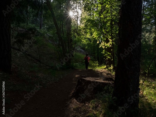 A woman hiking on a forest trail in the morning sun