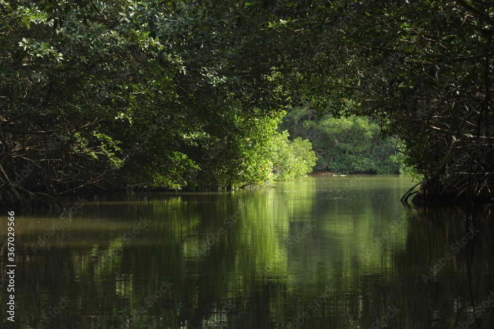 Green passage