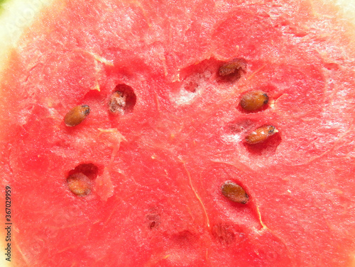 Cut round cross section detail of red color ripe watermelon