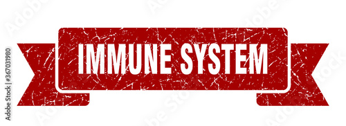 immune system grunge vintage retro band. immune system ribbon