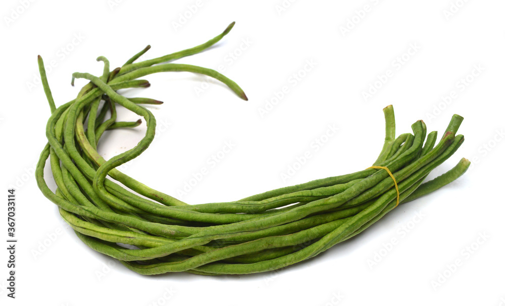 A bunch of freshly picked cowpea isolated on white A bunch of freshly picked cowpea isolated on white