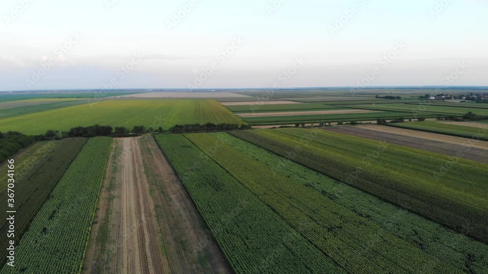 Agriculture field land meadow aerial drone view Agriculture field land meadow aerial drone view