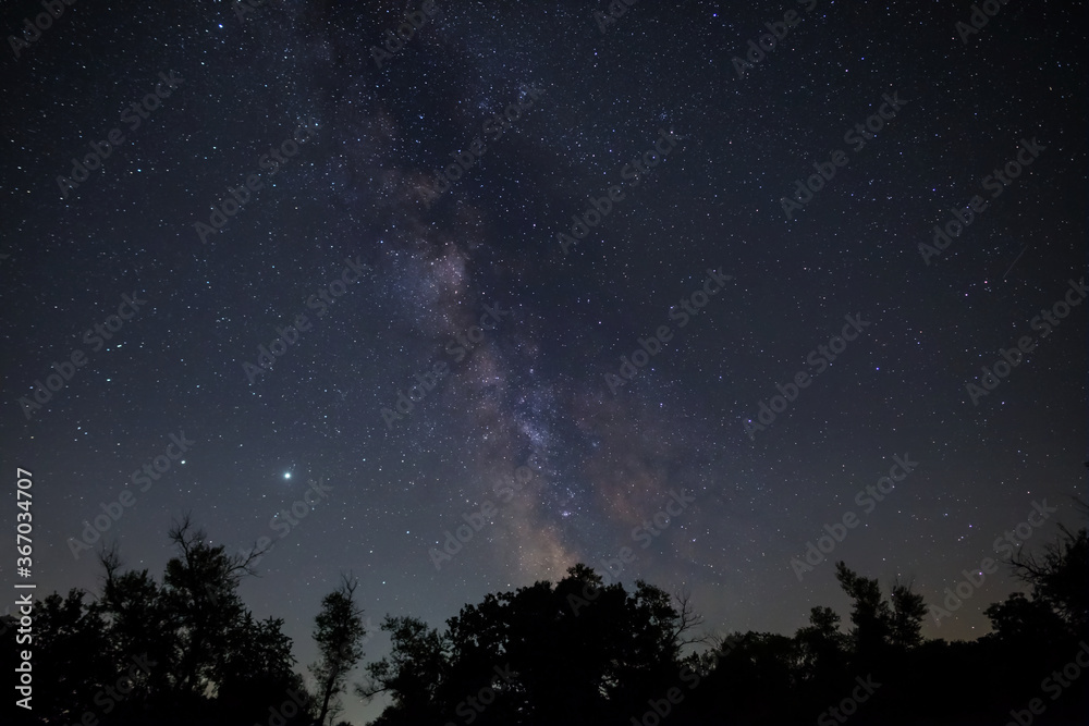 forest silhouette on a  sky with milky way, night outdoor scene