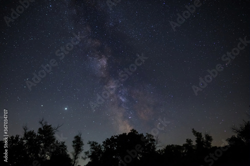 forest silhouette on a sky with milky way, night outdoor scene