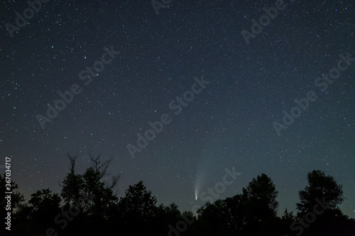 Comet NEOWISE on a night sky above a forest glade  night outdoor scene