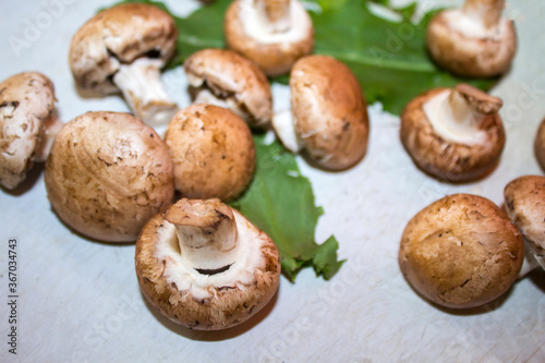 Champignons on white background. The concept of eating mushrooms, Shiitake Mushrooms