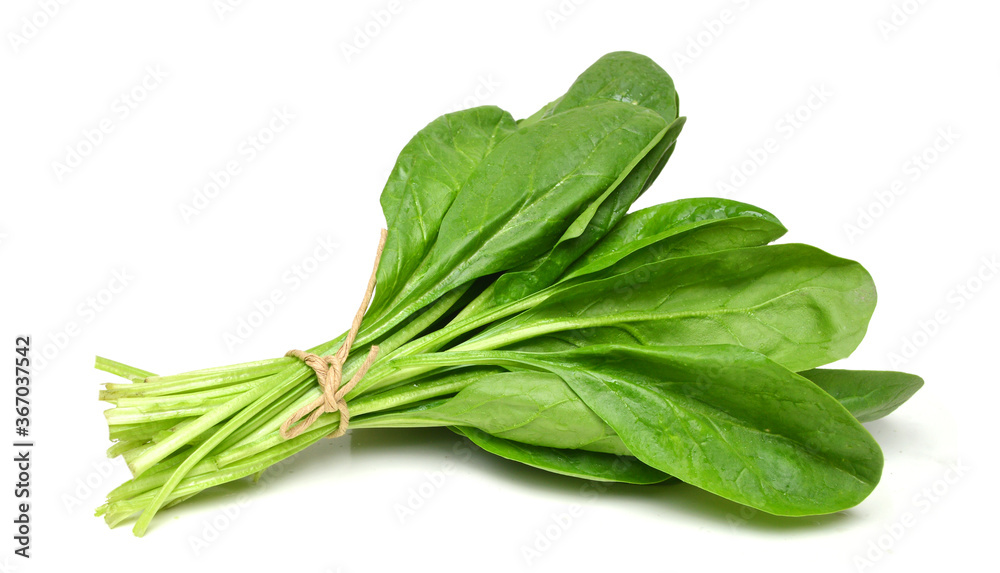 Bunch of spinach leaves on isolated white background Bunch of spinach leaves on isolated white background
