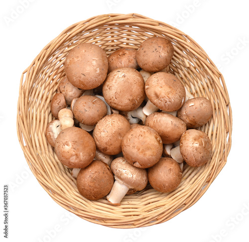 fresh mushroom champignon isolated in basket on white background
