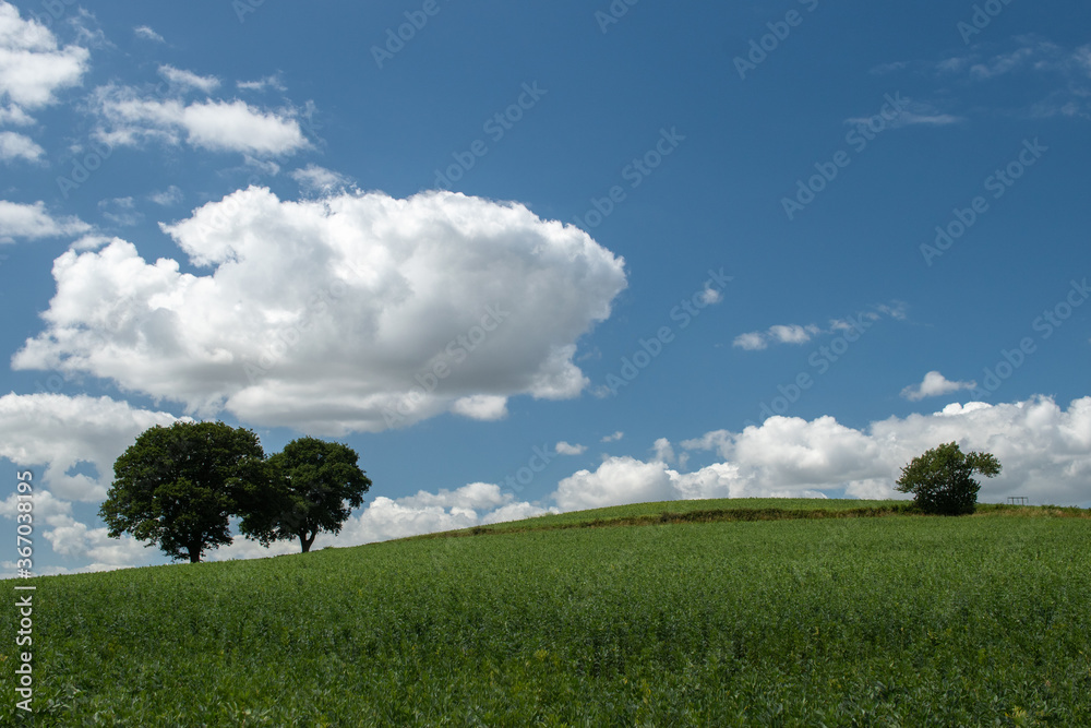 View over fields and rolling hills in English countryside during summer on sunny day View over fields and rolling hills in English countryside during summer on sunny day
